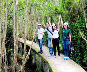 Tour Miền Tây giá rẻ - Khám phá con đường xuyên rừng tràm đẹp nhất Việt Nam